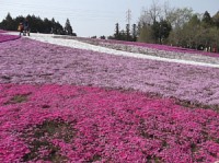 /album/%e7%a7%a9%e7%88%b6%e4%b8%89%e5%8d%81%e5%9b%9b%e8%a6%b3%e9%9f%b3%e9%9c%8a%e5%a0%b4%e5%b7%a1%e6%8b%9d%e5%86%99%e7%9c%9f%e9%9b%86/dscf1432ssss-jpg/