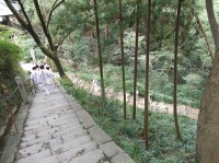 /album/%e3%83%95%e3%82%a9%e3%83%88%e3%82%ae%e3%83%a3%e3%83%a9%e3%83%aa%e3%83%bc%3a-%e8%a5%bf%e5%9b%bd%e4%b8%89%e5%8d%81%e4%b8%89%e8%a6%b3%e9%9f%b3%e5%b7%a1%e6%8b%9d/dscf1612sa4sefukuji-ss-jpg/